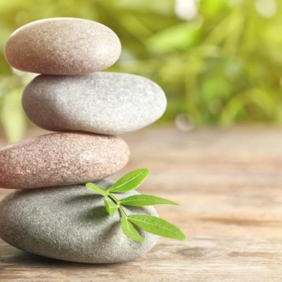 ** 1 DAY SALE! ** Aveda VALENCIA Key Element #7 Air Nature RETIRED RARE JUMBO SZ - Picture 8 of 14